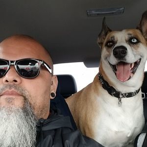 Meet your Posher, Joe